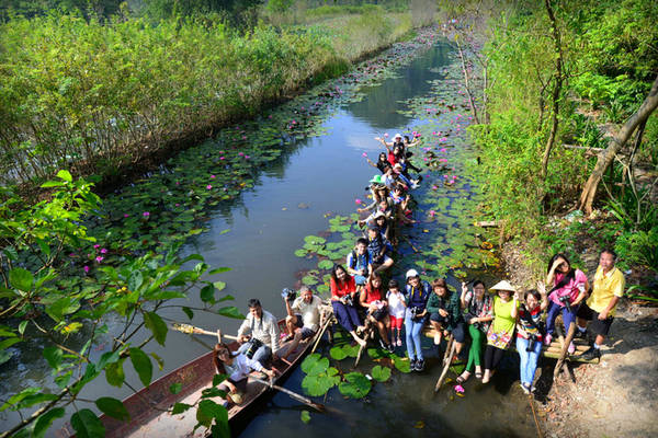 hoa-sung-chua-huong-khoe-sac-hong-duoi-nang-thu-ivivu-15 hoa-sung-chua-huong-khoe-sac-hong-duoi-nang-thu-ivivu-15