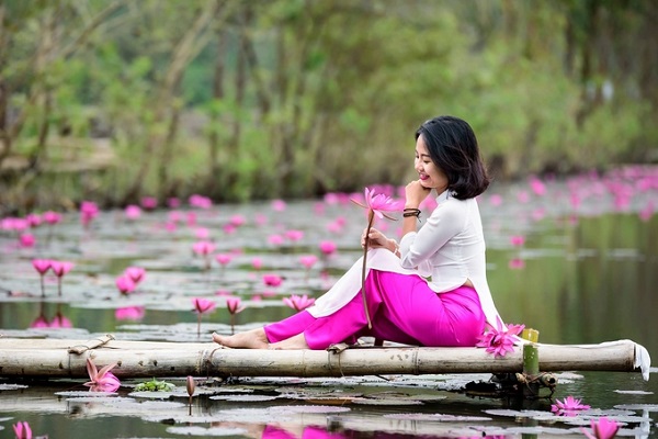Vẻ đẹp hoa súng suối Yến nở muộn tại Chùa Hương Vẻ đẹp hoa súng suối Yến nở muộn tại Chùa Hương