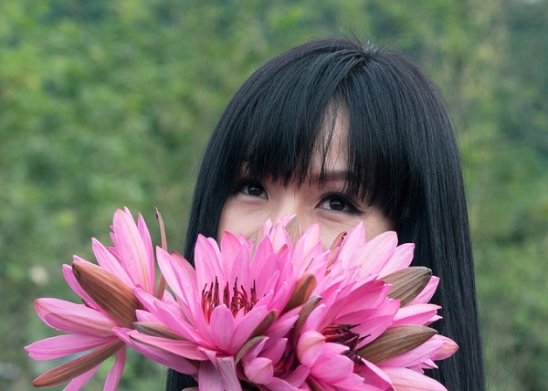 Sắc hồng hoa súng suối Yến điểm tô mùa đông Hà Nội Sắc hồng hoa súng suối Yến điểm tô mùa đông Hà Nội