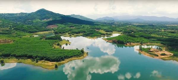 hoa-vang-co-xanh-o-thang-binh-vung-dat-moi-tinh-tren-ban-do-du-lich-ivivu-2