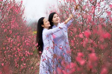 Trải nghiệm Hà Nội bình yên vào ngày giáp Tết cổ truyền