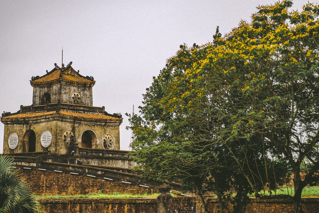 Sắc hoa tô điểm vẻ duyên dáng cho những công trình rêu phong, in đậm dấu ấn hàng nghìn năm lịch sử. Ở phía trong Kinh thành Huế, các con đường như được thay áo mới nhờ vẻ đẹp của loài hoa đầu hạ.