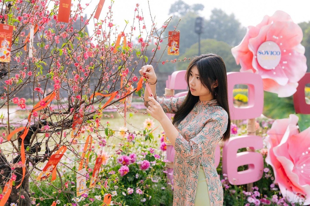 Hoa đào đón Tết tại đường hoa Hoàng thành Thăng Long