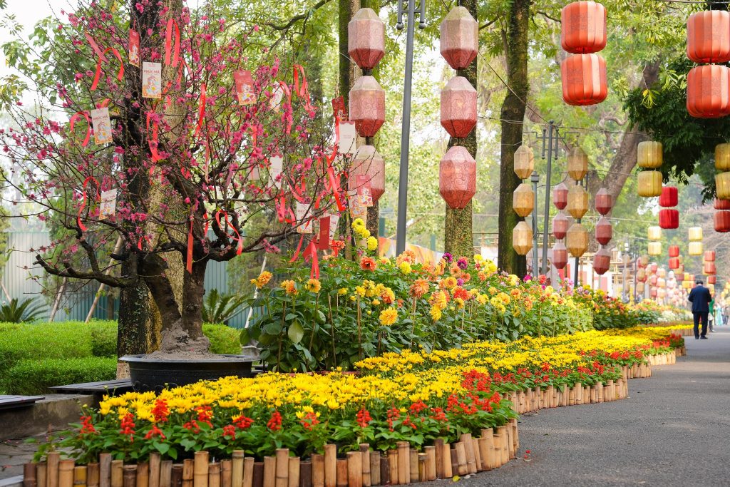 Góc chụp ảnh đẹp tại đường hoa Hoàng thành Thăng Long