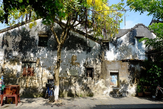 Tại phố Nguyễn Thái Học, không chỉ tìm thấy hai hàng hoa này nở rộ, bạn còn có thể nhận ra "bức tường Hội An" nổi tiếng với những ô cửa sổ và rêu phủ loang lổ. Bức tường là nơi được nhiều bạn trẻ yêu thích chụp hình check-in. Mỗi buổi sáng sớm, khoảng 6h - 9h khi hàng quán chưa mở cửa đón khách, thường có một quán cà phê cóc là nơi các cụ già tập thể dục về ngồi uống nước hàn huyên.