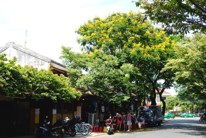 Những cây hoa điệp cũng nở vàng rực và rụng đầy trên phố, trên mái nhà. Trong hình là góc phố Phan Chu Trinh nơi có hàng bánh mì Phượng nổi tiếng. Quán nhỏ mỗi ngày đón hàng trăm khách nằm nép mình dưới bóng điệp.