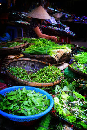 Chợ Hội An mùa thu nhộn nhịp