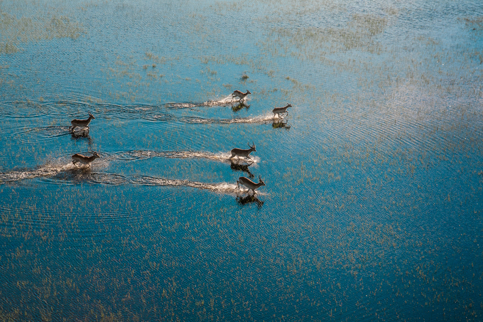 Botswana với châu thổ Okavango lãng mạn