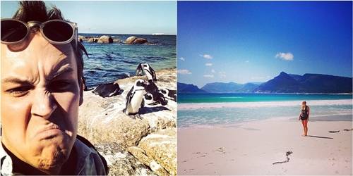 Cape Town Nam Phi chụp ảnh chim cánh cụt