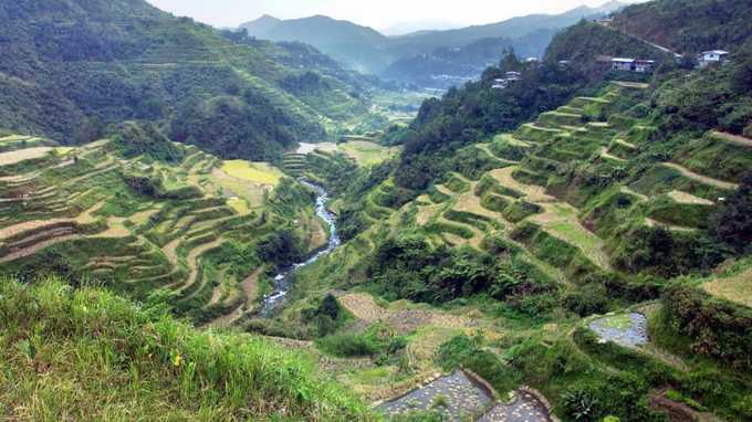 Ruộng bậc thang vùng Cordillera, Philippines