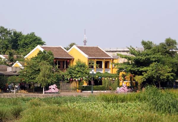 Lần đầu tiên đến Hội An, tôi mặc định hình ảnh của một đô thị cổ kính và sầm uất. Nhưng thị xã lại đón người lữ khách bằng vẻ dung dị của làng quê. Cánh đồng lúa đương thì trổ bông tỏa mùi hương thanh nhẹ.