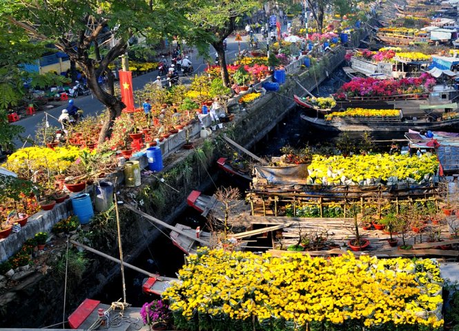Hội hoa xuân bến dưới thuyền TP.HCM Không gian Hội hoa xuân bến dưới thuyền Tết Nhâm Dần