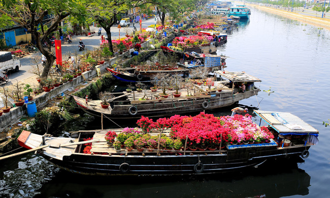 hoi-hoa-xuan-tren-ben-duoi-thuyen-ivivu-5 hoi-hoa-xuan-tren-ben-duoi-thuyen-ivivu-5