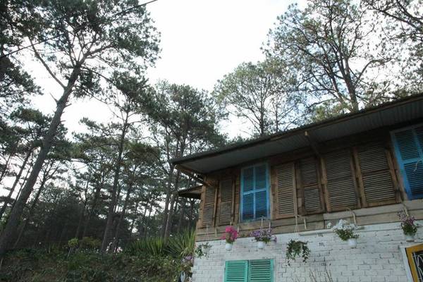 Nằm giữa những hàng thông ngút ngàn, nhưng HomeFarm chỉ cách trung tâm có 10 phút di chuyển.