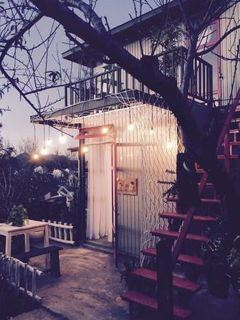 Sân vườn Utopia Dalat homestay Đà Lạt