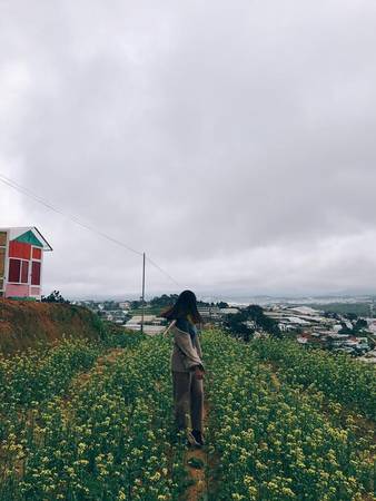 Ảnh: Sunny Farm