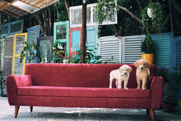 Tiện nghi tại S House S House homestay Nha Trang đầy đủ tiện nghi