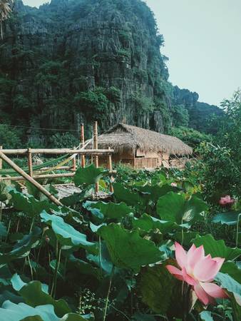 Homestay Ninh Bình Hạ Long không gian xanh mát