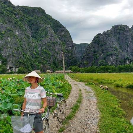 Homestay Ninh Bình view ao sen