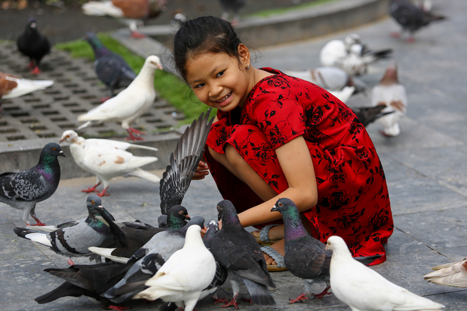 "Con rất thích đàn bồ câu ở nhà thờ vì chúng dễ thương và thông minh", Kim Yến (10 tuổi), chia sẻ.