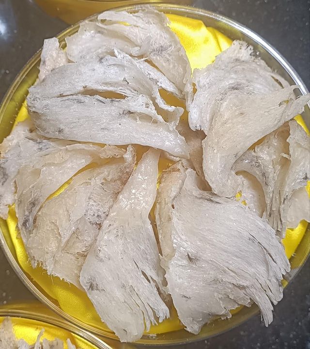 Tổ yến sào thượng hạng khai thác từ hòn Nội Nha Trang