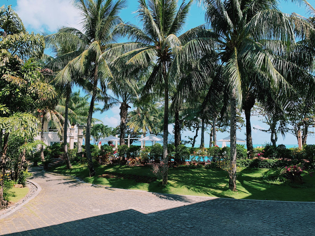 Resort và dịch vụ du lịch Côn Đảo