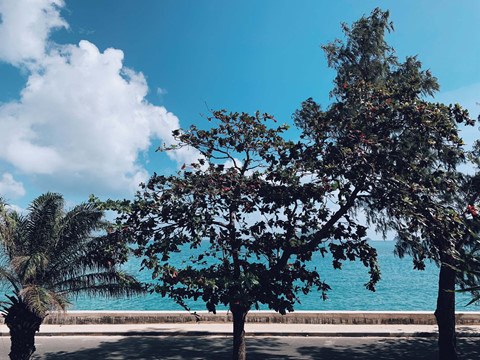 Du lịch Côn Đảo Du lịch Côn Đảo