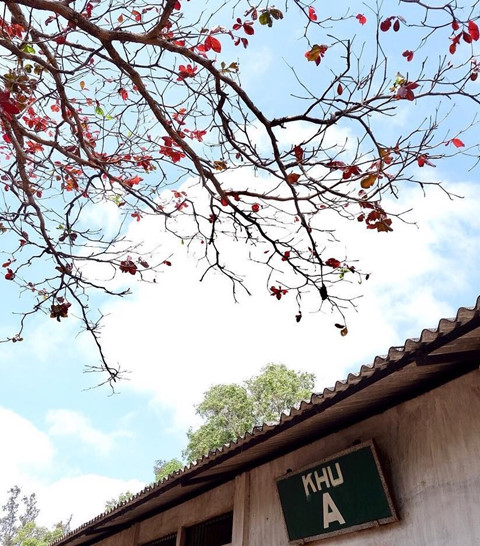 Nhà tù Côn Đảo xưa kia Nhà tù Côn Đảo xưa kia