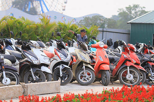 Khu vực gửi xe chật kín tại thung lũng hoa Hồ Tây