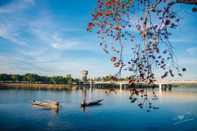 Năm nay, những gốc phượng ở đầu cầu Dã Viên phía bờ Bắc sông Hương nở sớm hơn những nơi khác, trở thành điểm đến lý tưởng của người yêu thích thiên nhiên. Những bóng thuyền thả lưới trên sông góp phần giúp khung cảnh Huế thi vị, tôn vẻ đẹp từng đi vào thơ ca, nhạc họa: "Nét dịu dàng pha lẫn trầm tư".