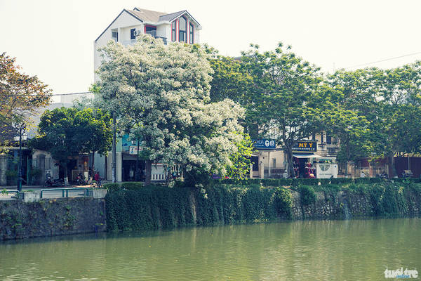hue-yeu-kieu-trong-mua-xoan-no-ivivu-11