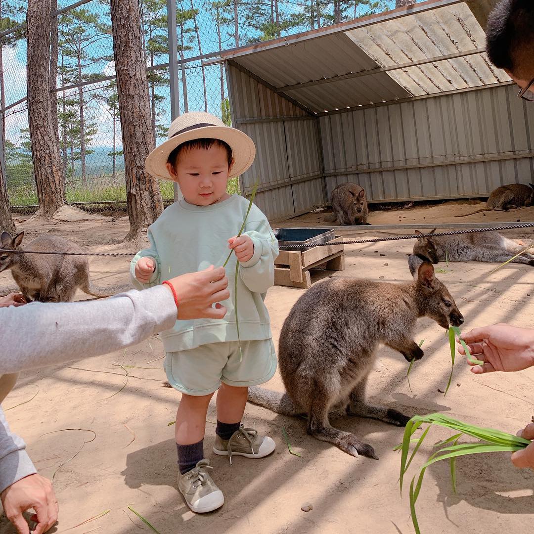 Trải nghiệm sở thú Zoodoo Đà Lạt