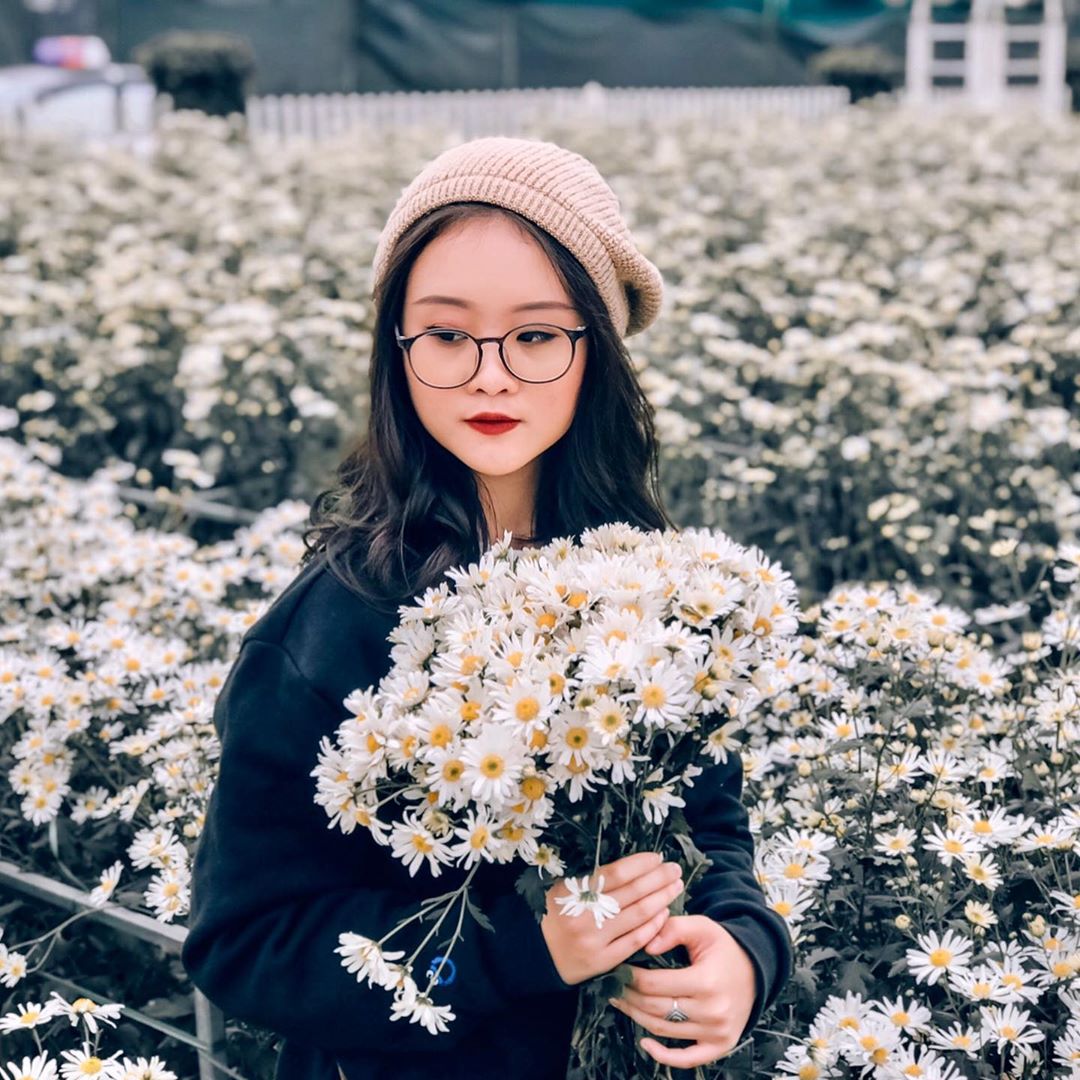 Vườn cúc họa mi sông Hồng