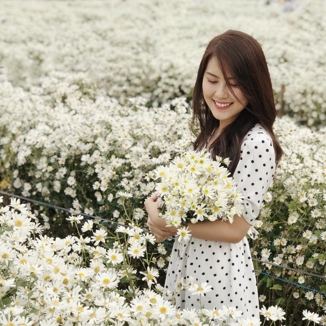 Vườn cúc họa mi sông Hồng