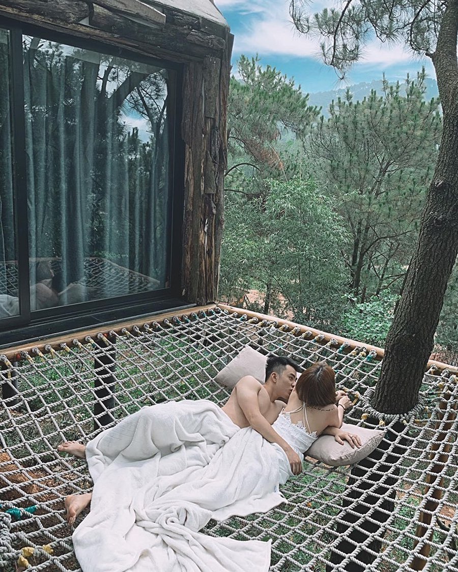 View rừng thông từ phòng nghỉ Nhà Bên Rừng U Lesa