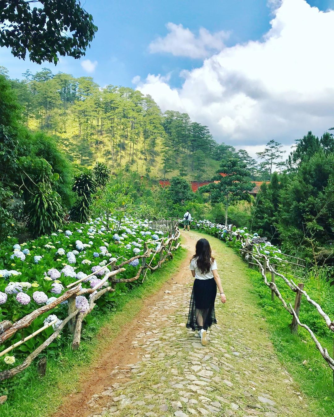 Không gian rừng thông Làng Cù Lần Đà Lạt