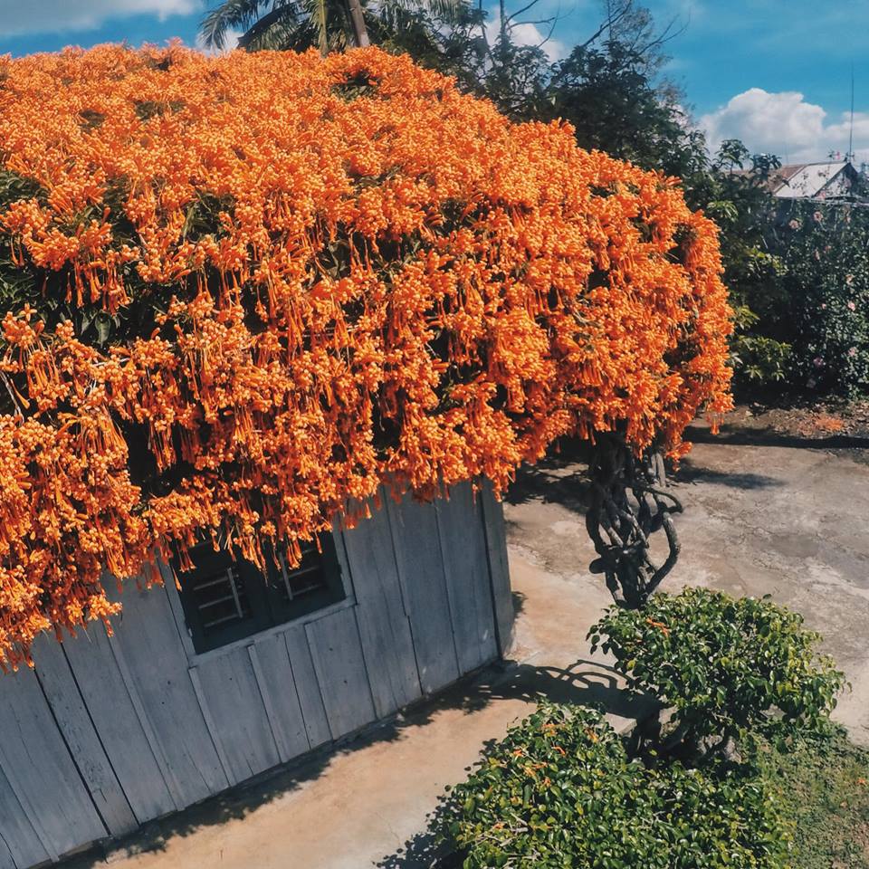 Ảnh: @FB Hưng Lương,