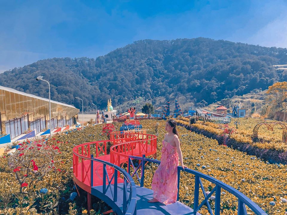 Con đường hoa hồng tại Vườn Thượng Uyển Bay Đà Lạt