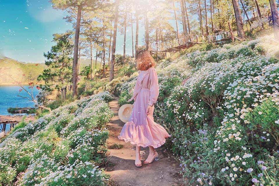 huong-dan-duong-di-happyhill-dalat-ivivu-3 huong-dan-duong-di-happyhill-dalat-ivivu-3