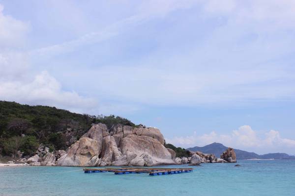 Khám phá vẻ đẹp hoang sơ của đảo Bình Hưng