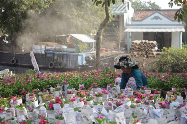 Kinh nghiệm chụp ảnh hoa Tết
