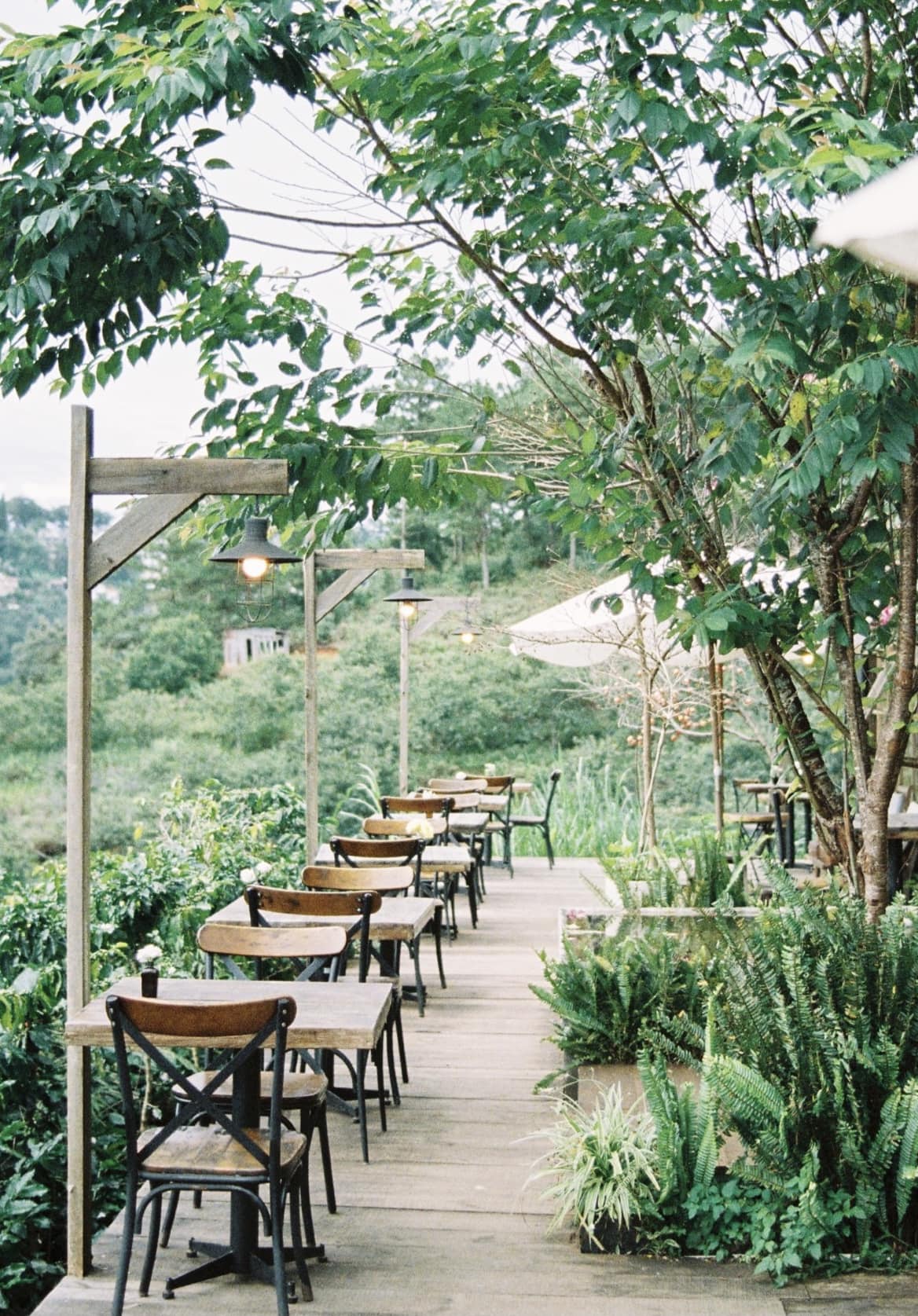 Ảnh: In The Forest