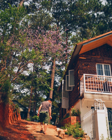 INDIgo home Đà Lạt sân vườn