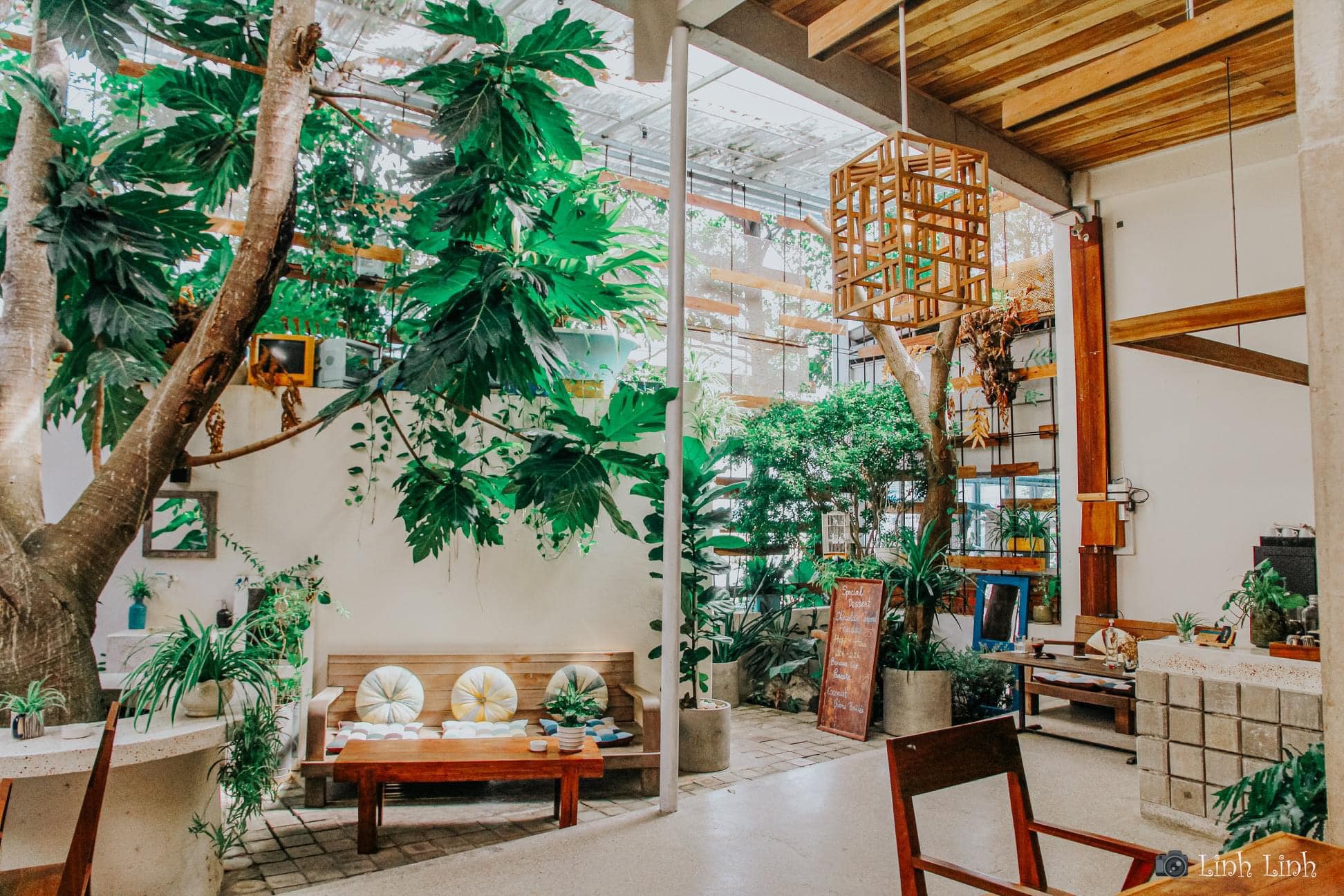 Top 5 quán cafe Côn Đảo có góc “sống ảo” thích mắt
