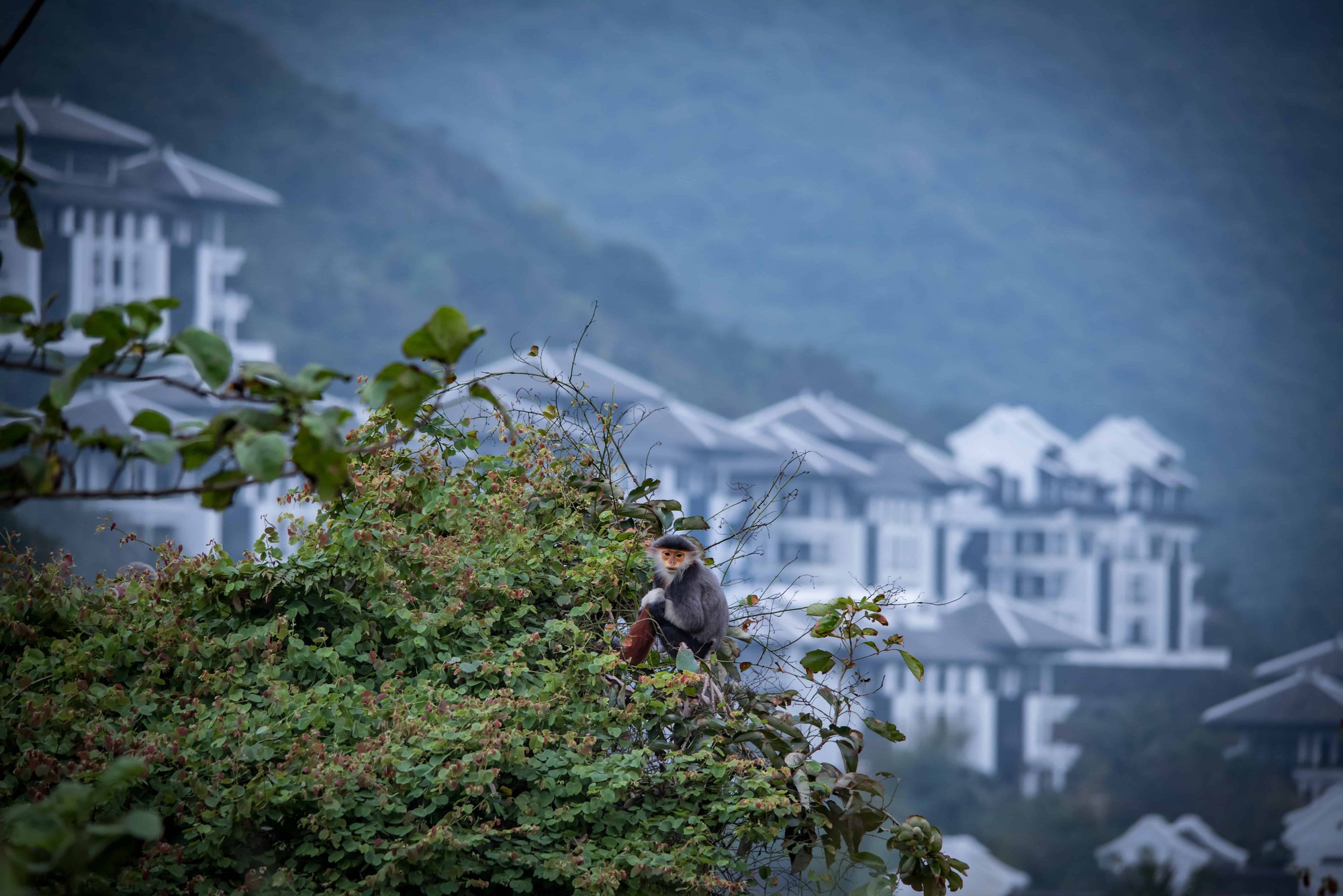 intercontinental-danang-sun-peninsula-resort-ivivu-4-1 InterContinental-Danang-Sun-Peninsula-Resort-ivivu-4