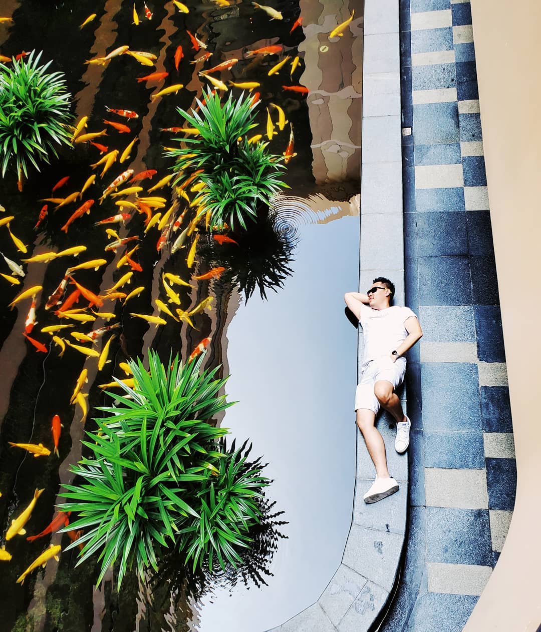 Hồ cá Koi InterContinental Phú Quốc Long Beach
