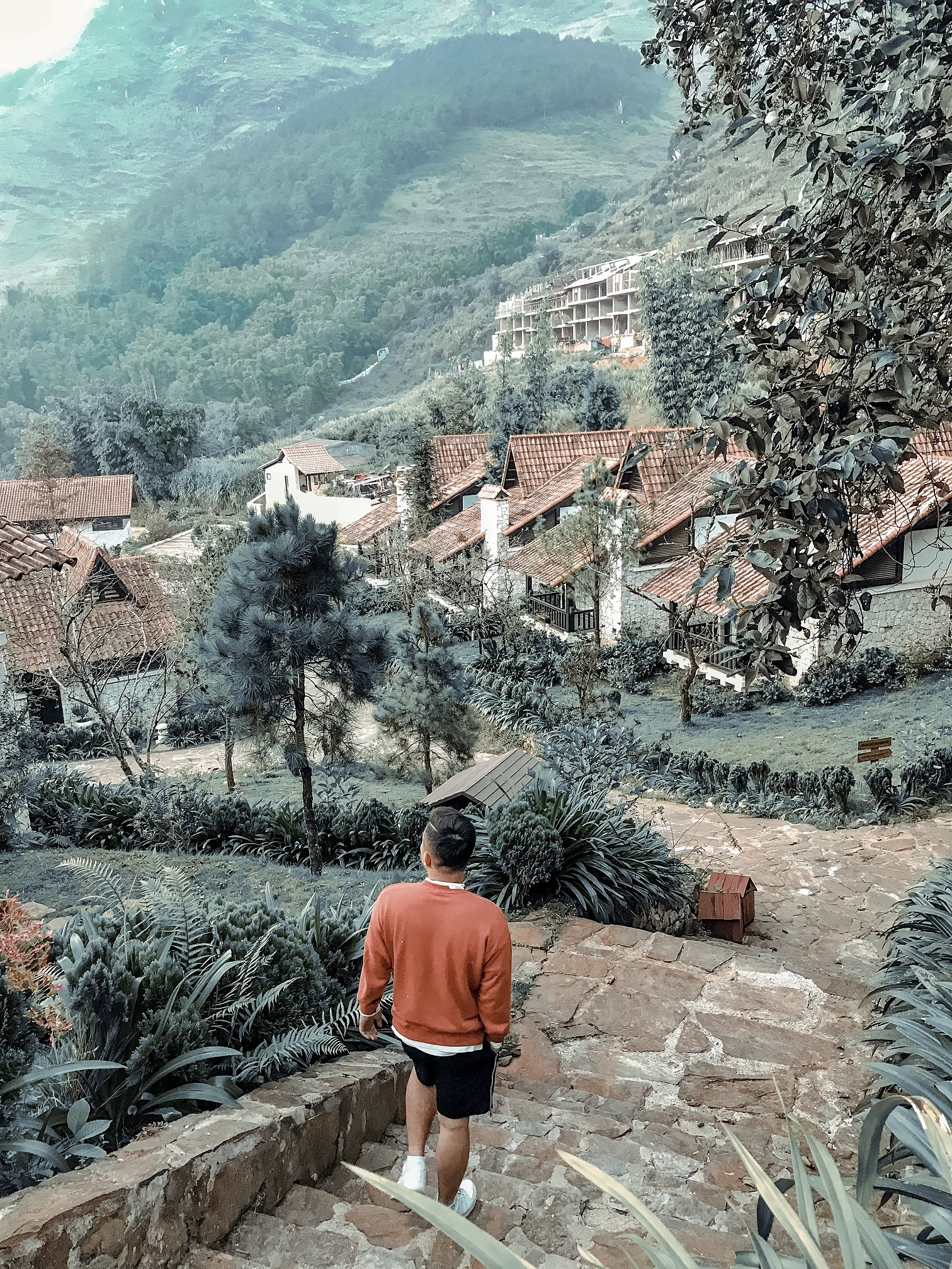 Không gian xanh mát tại Sapa Jade Hill Resort