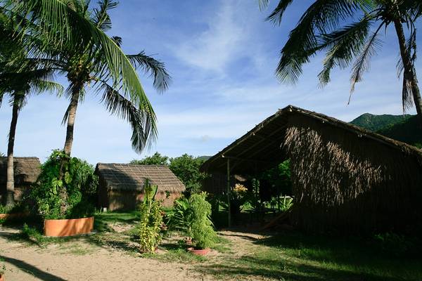 Không gian xanh mướt của Jungle Beach.