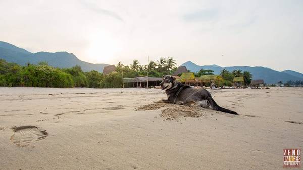 Tận hưởng bình yên ở Jungle Beach. Ảnh: Zeno