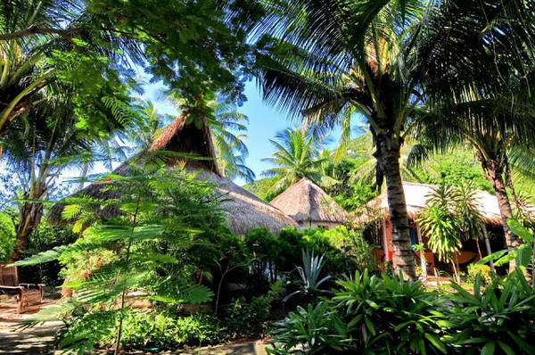 jungle-beach-ninh-phuoc-ivivu-21 jungle-beach-ninh-phuoc-ivivu-2